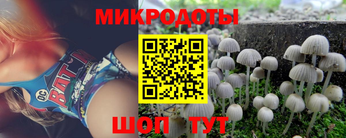 Галлюциногенные грибы Psilocybine cubensis Кирово-Чепецк
