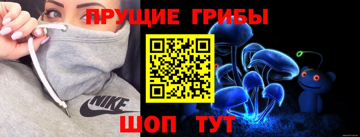 Кирово-Чепецк  Галлюциногенные грибы Psilocybine cubensis  Галлюциногенные грибы Magic Shrooms  Вход с VPN 
